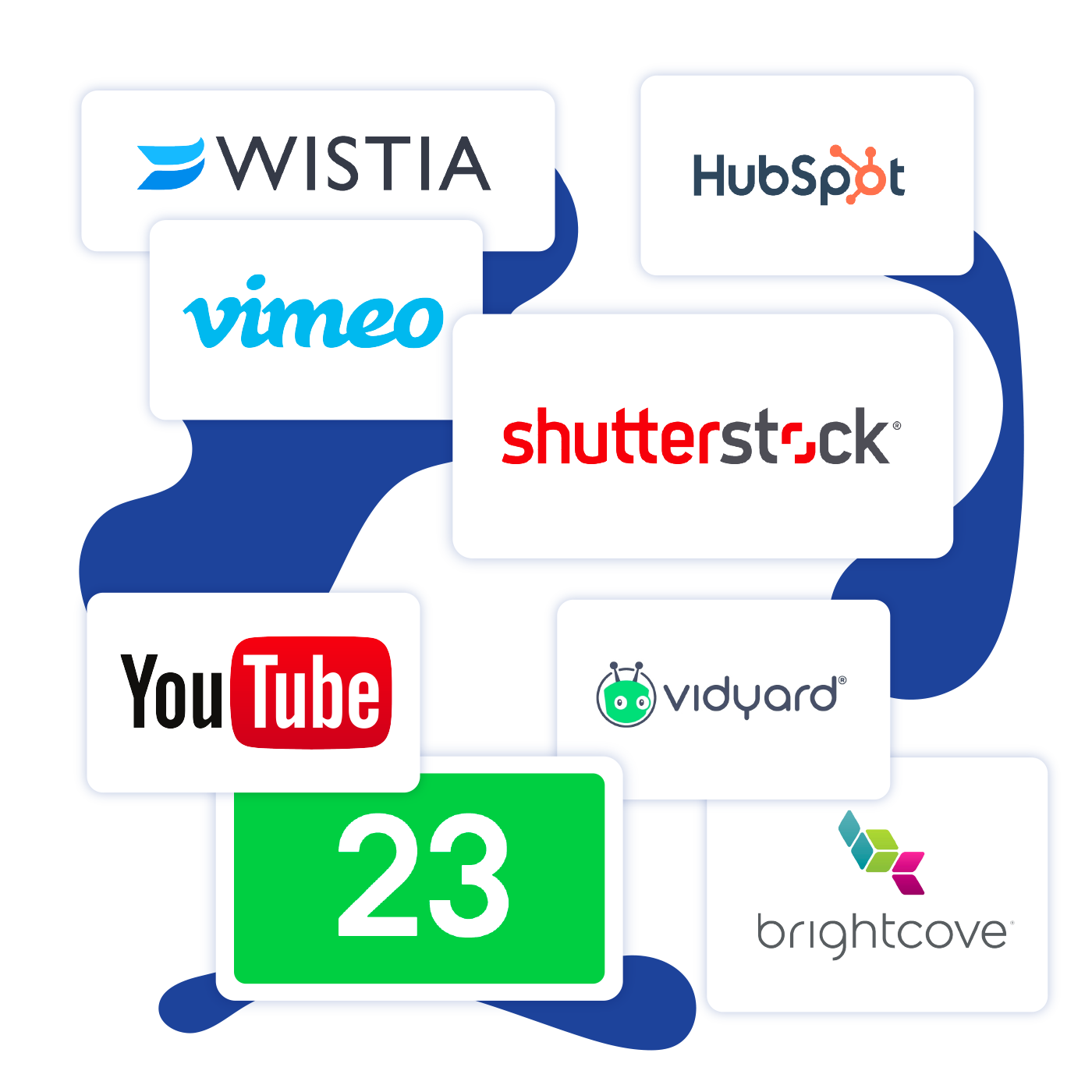 business video software